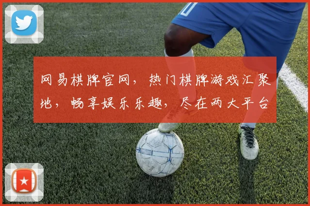 网易棋牌官网，热门棋牌游戏汇聚地，畅享娱乐乐趣，尽在两大平台逗乐逗乐