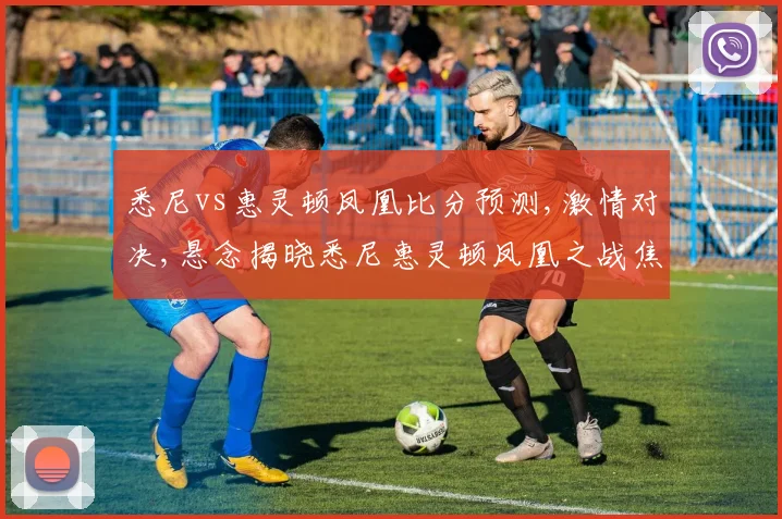 悉尼vs惠灵顿凤凰比分预测,激情对决,悬念揭晓悉尼惠灵顿凤凰之战焦点前瞻